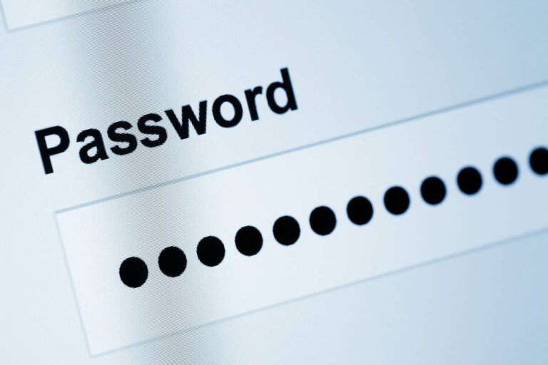 Password field with masked dots on a computer screen