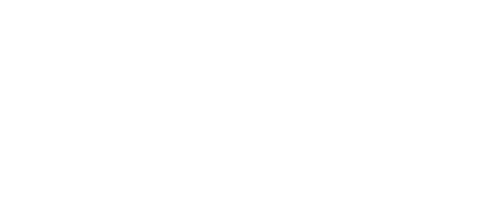 CamTech MSP